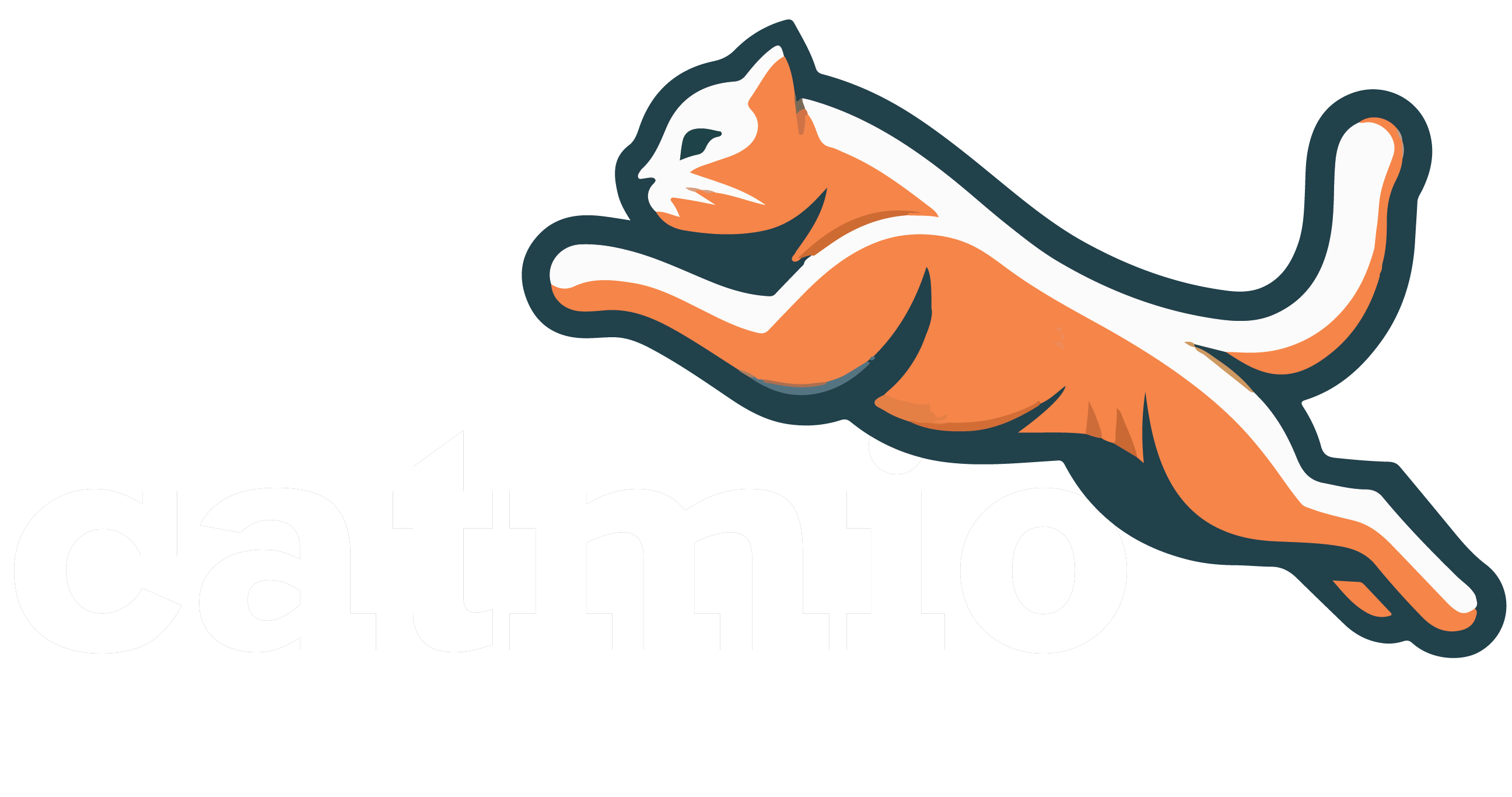 Catmio Logo